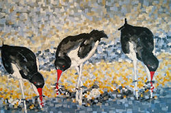 Scholeksters 90 x 60 acryl op doek