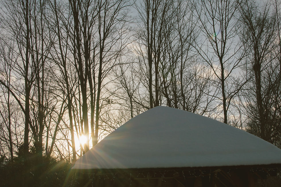  Photography by Charlotte