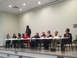 Democratic Female Committee Panel