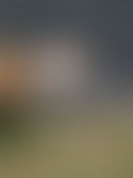 Diy sac d'été : facile et pas cher !