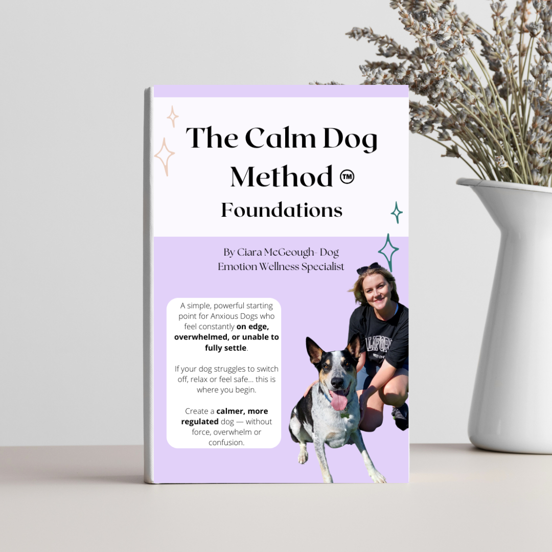 Pooch Method Is your dog anxious, reactive or unable to fully settle? The Calm Dog ...