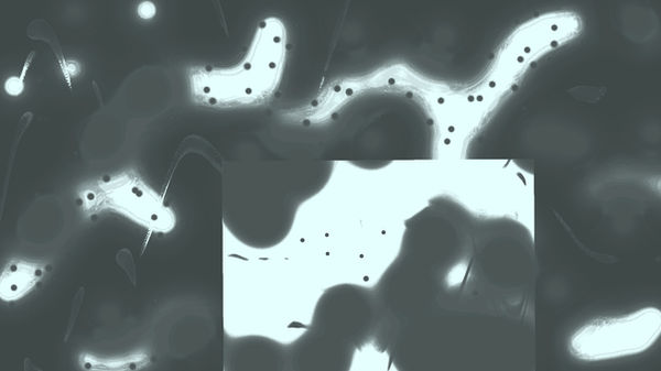 12345colours new Pixials.jpg