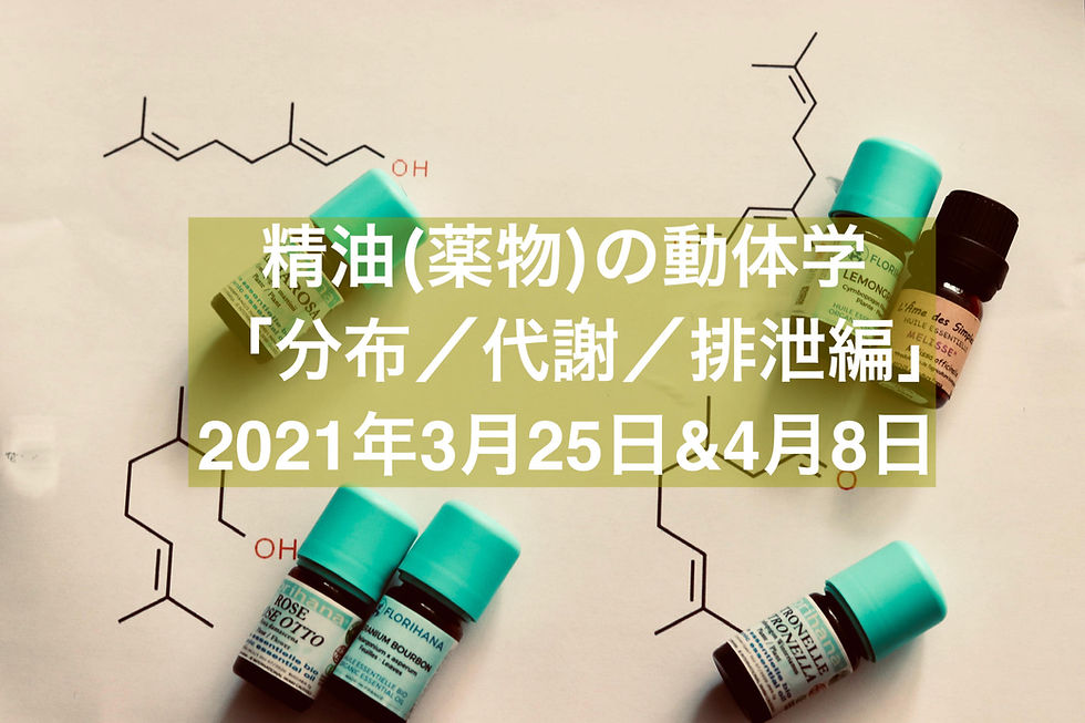 精油(薬物)の動態学 「分布/代謝/排泄編」【3/25 & 4/8】