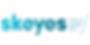 Skeyes logo.webp
