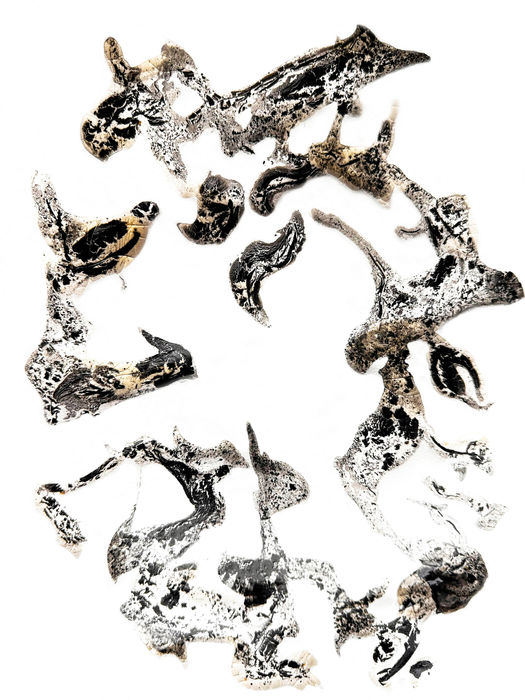 O def stesso che arteam.jpg