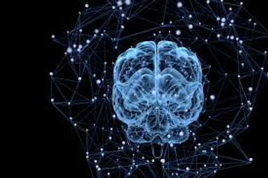 The Science Behind Human Memory: How Memories Are Formed and Remembered
