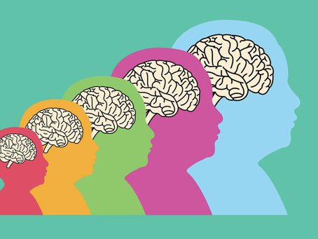 How Does Childhood Experience Influence the Development of the Brain?
