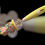 Thumbnail: Beaded Box Cutters (1)
