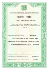 Лицензия.png