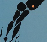 Cover 16.