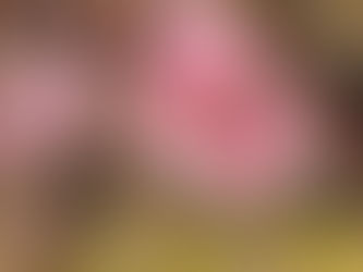 Printemps des consciences, printemps des possibles