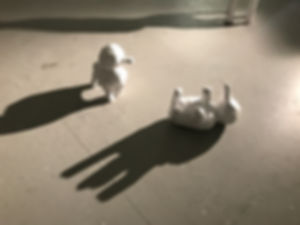 IMG_4720.jpeg