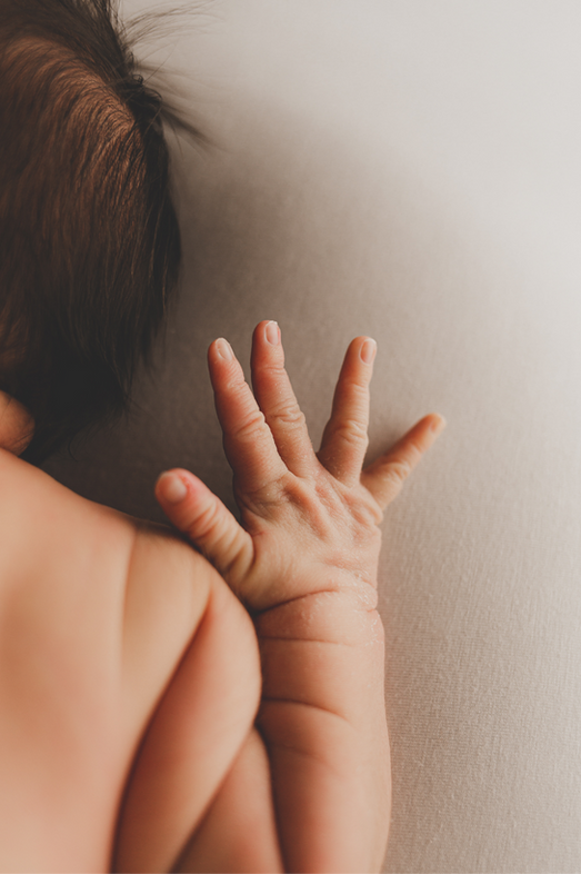 Newborn Fotoshooting Details Baby Hand Neugeborene München