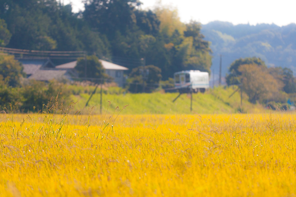 秋の天竜浜名湖鉄道（２）