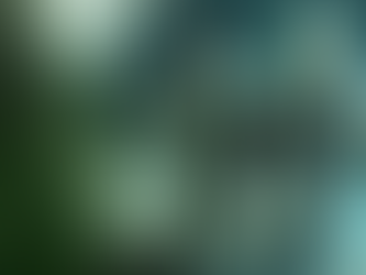 Tennocon publie des détails sur les drops Twitch et le nouveau flux de sous-titrage codé