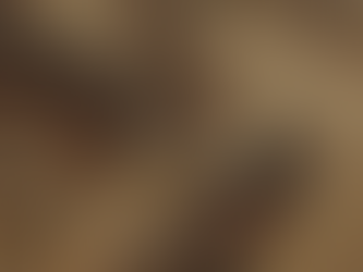 SGF 2024 : Oh Boy, Monster Hunter Wilds va prendre le contrôle de nos vies