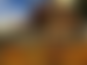 Guild Wars 2 présente en avant-première la fonctionnalité d’hébergement des joueurs de Janthhir Wilds