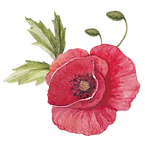Poppy with Leaves
