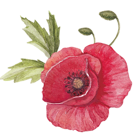 Poppy with Leaves