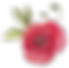Poppy with Leaves