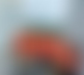 EPPA's Insightful Visit to Profine in Pirmasens, Germany