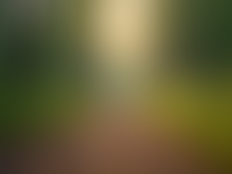 Unlock Growth with Nagual Zone Masterclasses