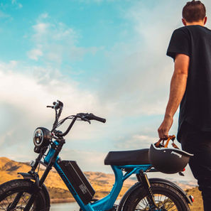 Juiced Scorpion Horsetooth