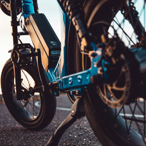 Juiced Scorpion Horsetooth