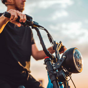 Juiced Scorpion Horsetooth