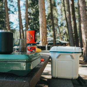 Fellow Carter Mug RMNP