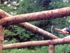 Rönkpergola