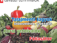 Ezermester Extra 2023/1.: Veteményes: tavaszi tennivalók