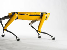 Robotkutya Csernobilban