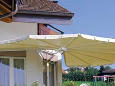 Napraforgó