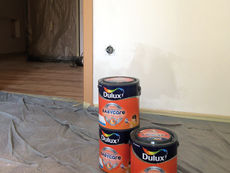 Dulux EasyCare
