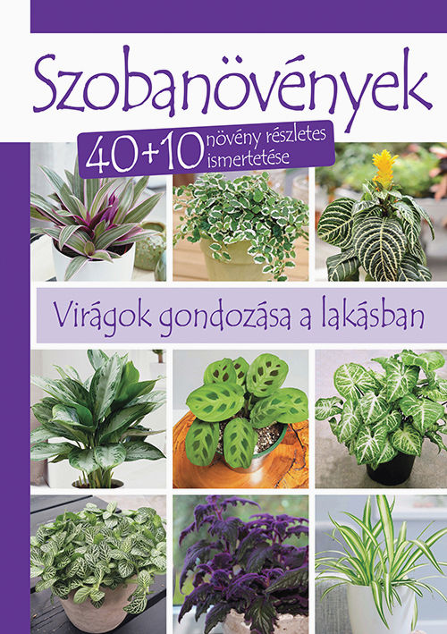 Szobanövények