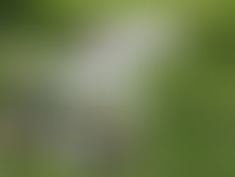 Így születik az esküvői dekoráció házilag