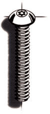 Csapos Torx csavar