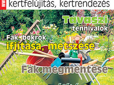 Ezermester Extra 2018/1. énKertem: kertfelújítás, kertrendezés