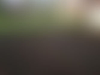 Az erdőben sem öntöz senki, a kertben miért kell?