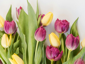 Embrace the Freshness of Spring: Discover Exquisite Bowls, Vases, and Giftware With Our End User Websites