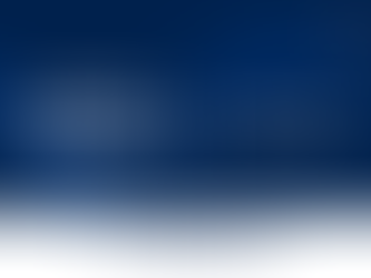 Crystal Chronicle 260