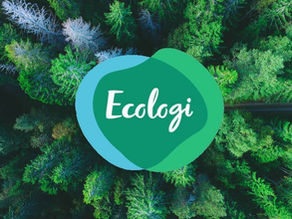 Going Green with Every Order: How Crystal Galleries is Planting for the Future