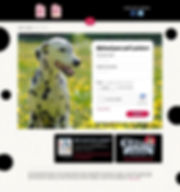 RRI_Sweepstakes_2.2_GalleryUpload.jpeg