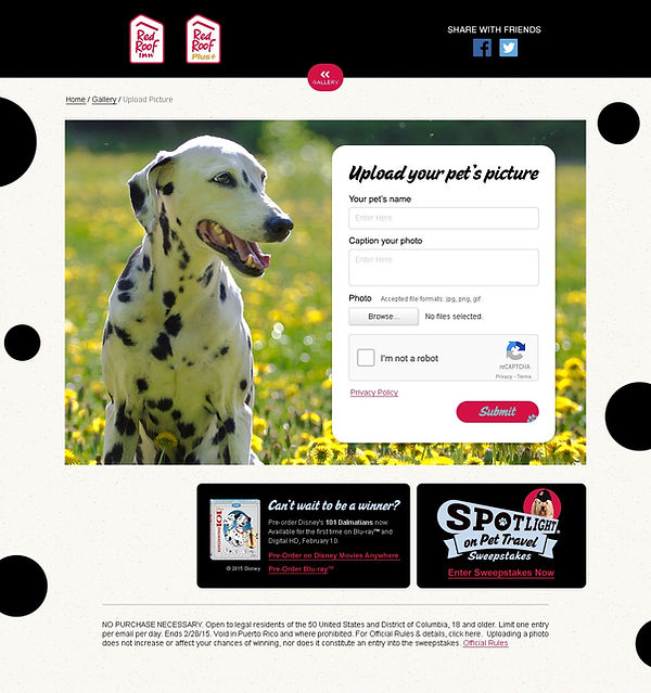 RRI_Sweepstakes_2.2_GalleryUpload.jpeg