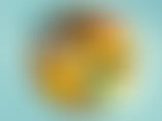 Fasting, Diet, and NAD+: The Complete Guide to Cellular Energy Optimization