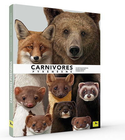 livre carnivores pyrénées corbac éditions xavier macpherson