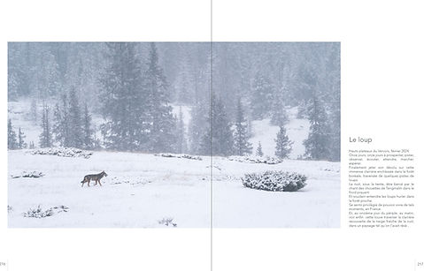 livre carnivores nédélec sineux corbac éditions