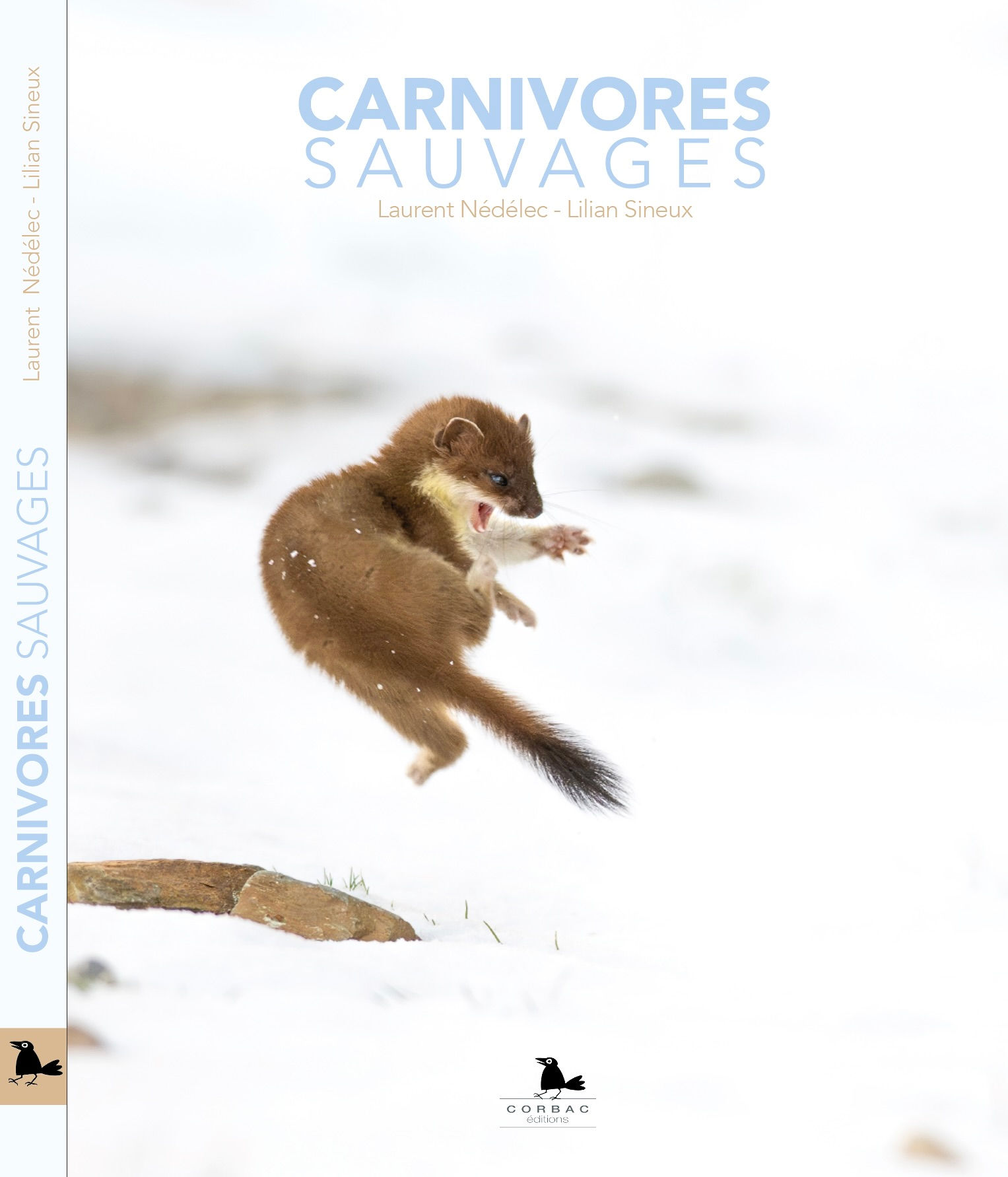 Carnivores sauvages