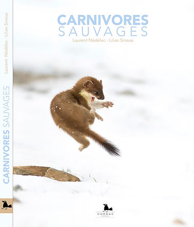 livre carnivores sauvages nédélec sineux corbac éditions